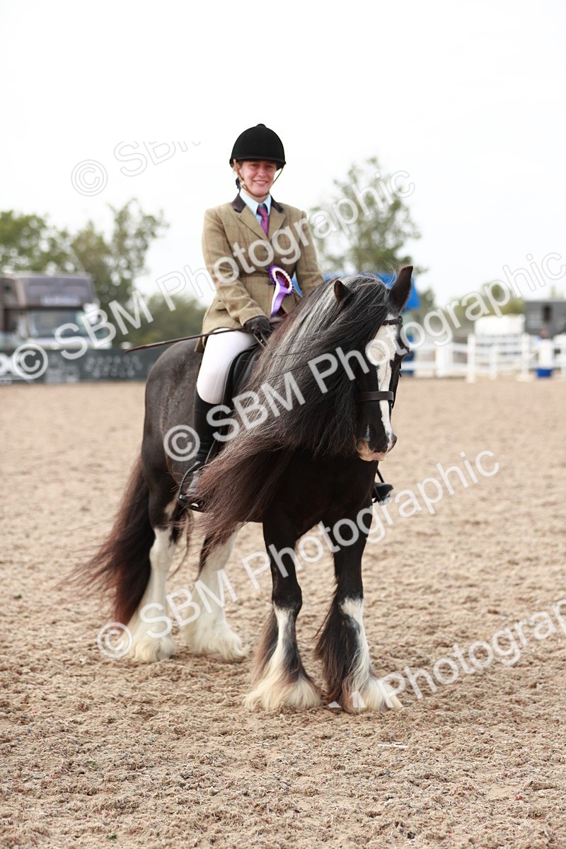SBM_16836 - Class 214 Ridden Cob