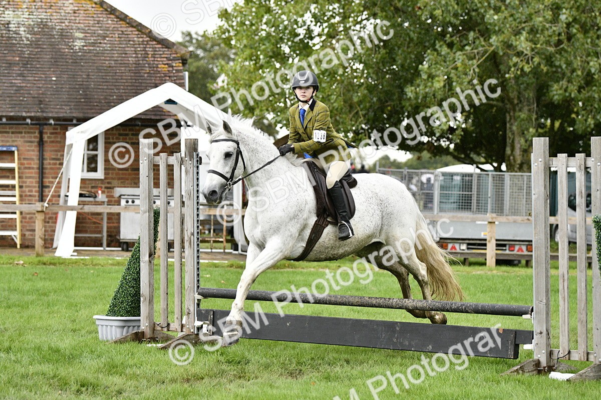 SBM_42250 - S32 - Mountain & Moorland Working Hunter Pony