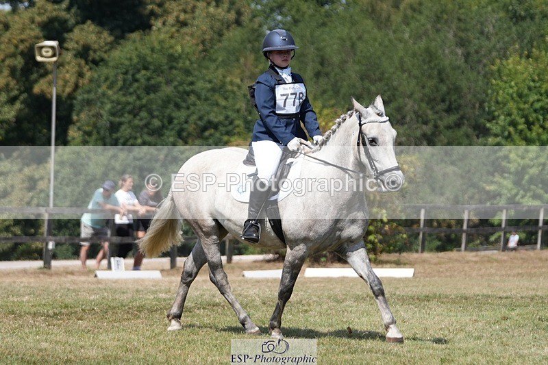 250823A-132031-31162 - Arena A