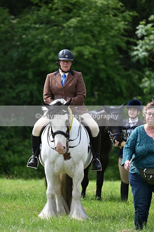 WJ7_1581 - Class 11 Condition & Turnout