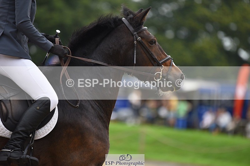 231001-131350-02681 - Cls 2 80cm 12.20 to End