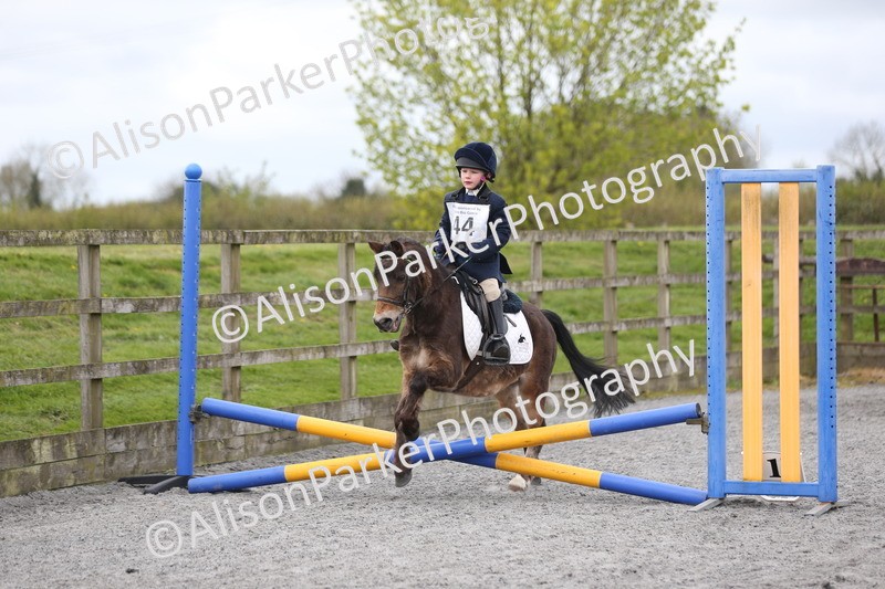 20260412-0556 - Show Jumping