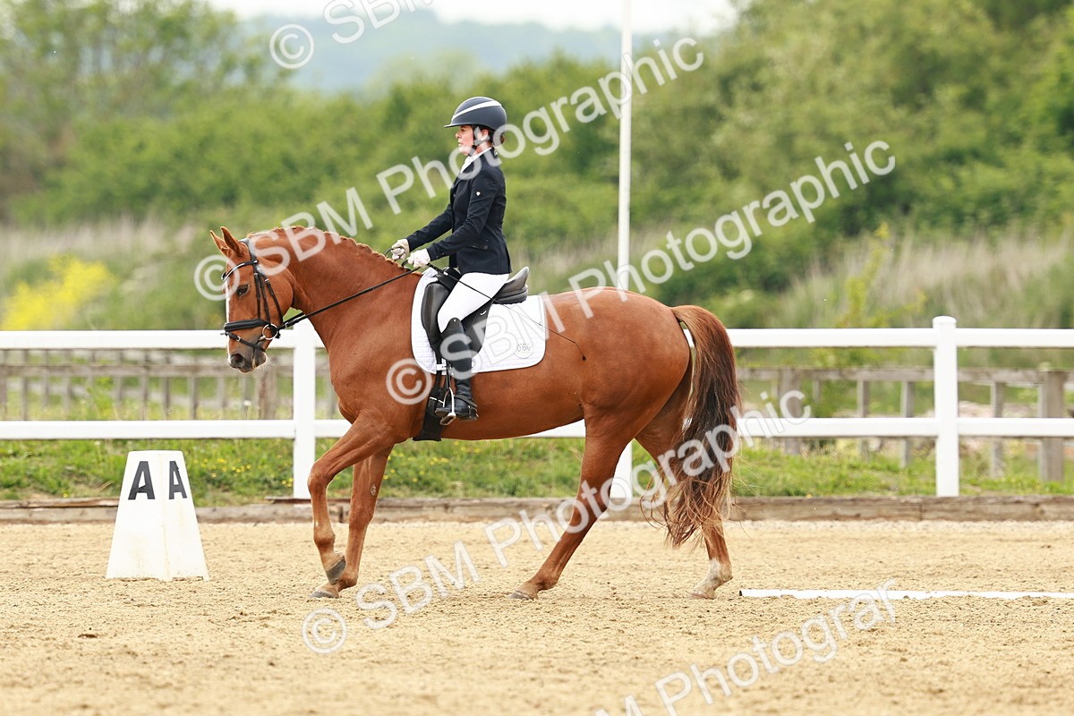 SBM_001347 - Class 7 - Novice 5