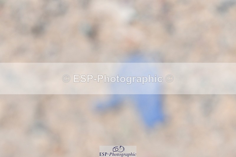 230520A-141048-01494 - Cls 6 Novice 30