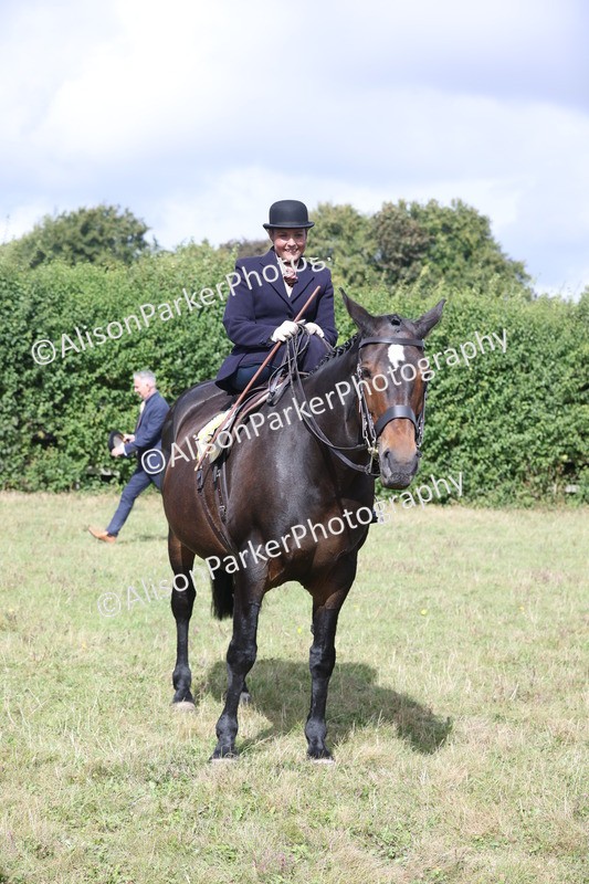 20250831-1264 - Class 15 - Ridden Veteran