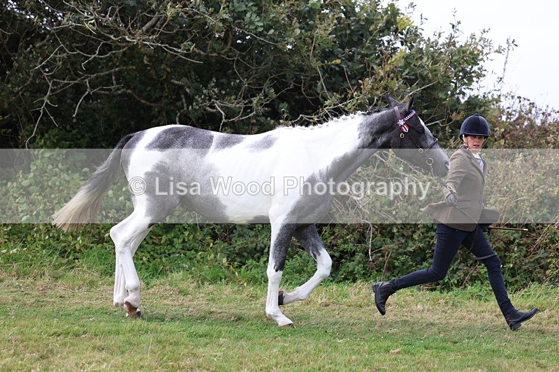 3E7A5366 - Class 19: Best Coloured in Hand