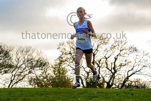 NatRel25-913184 - Young Female Set One