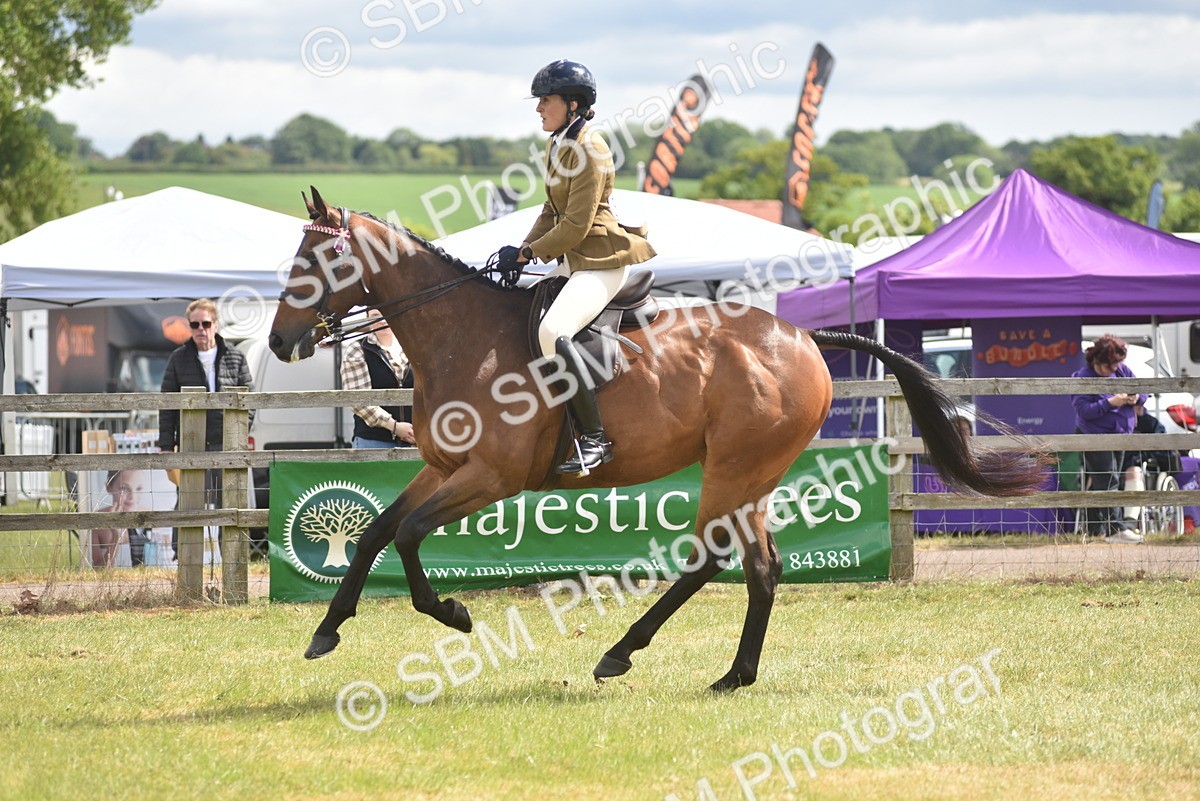 SBM_15083 - Class 113-114 - Retraining of Racehorses Ridden