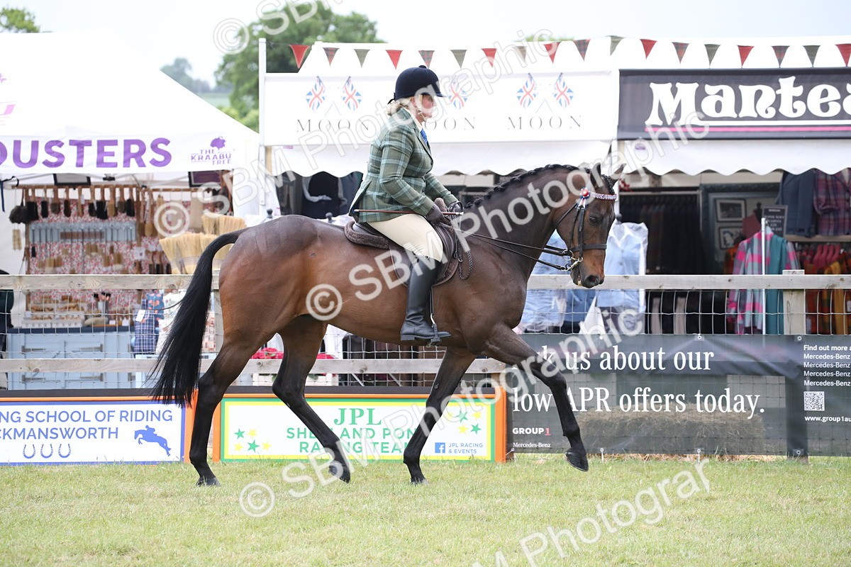 SBM_11406 - Class 94 - LIHS BSHA Racehorse to Showhorse