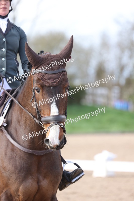 20260301-0717 - Class 4 - Novice 5