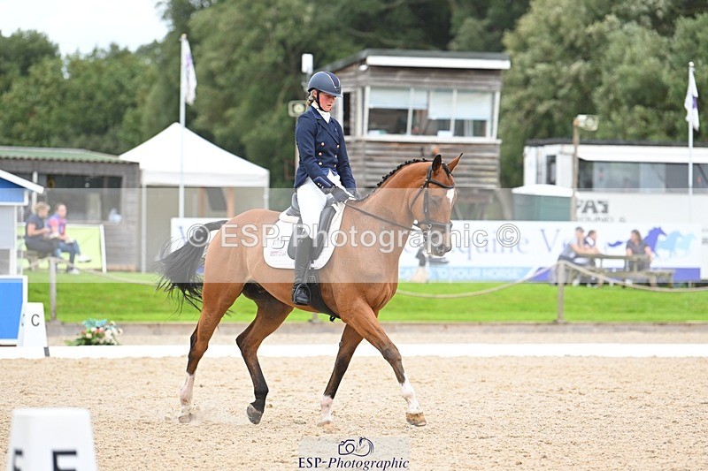 230813-132849-07572 - Cls 13 Medium Bronze 13.15 to End