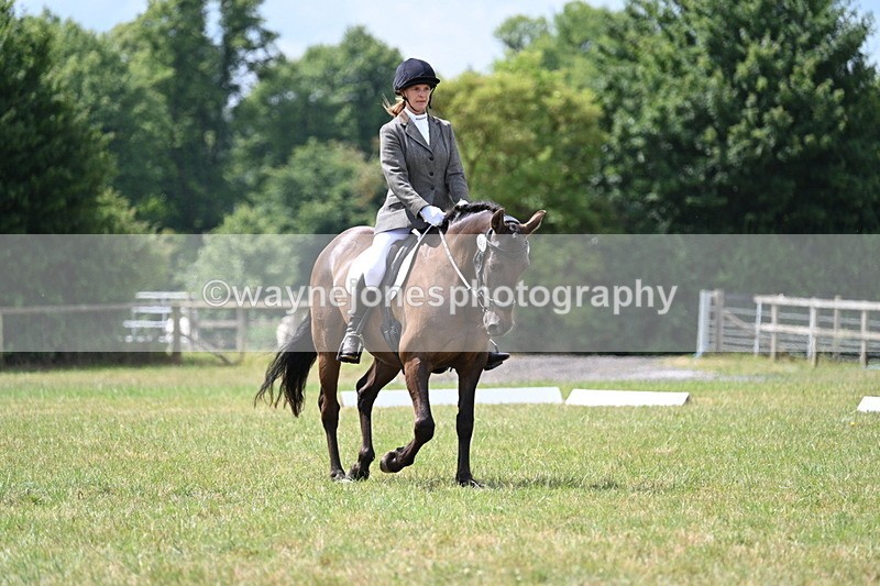 WJ7_4874 - Time 11:22 to 11:51