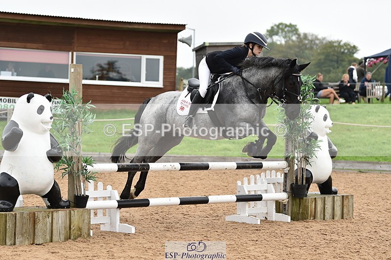 230902A-114330-00816 - Cls 2B Pony Small 80cm