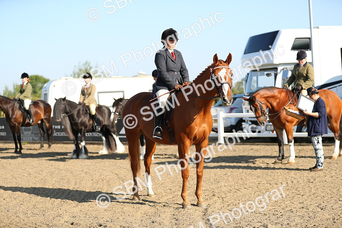 SBM_00446 - Class 41 Best Turned Out Ridden