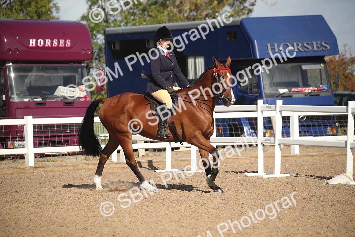 SBM_22784 - Class 602 - 2026 Area - Ridden Veteran