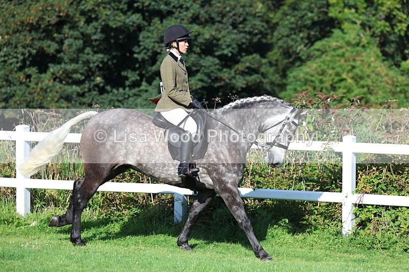 3E7A7583 - Class 1: Novice Working Hunter Pony