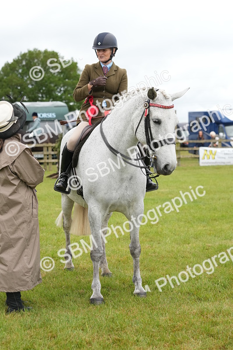 SBM_12850 - Class 97-98 - LIHS BSHA Rising Star Working Show Horse Hunter
