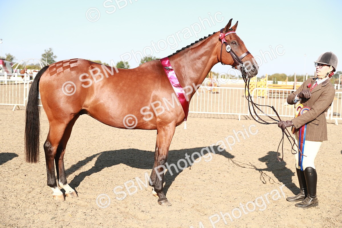 SBM_00106 - Class 40 Best Turned Out IH