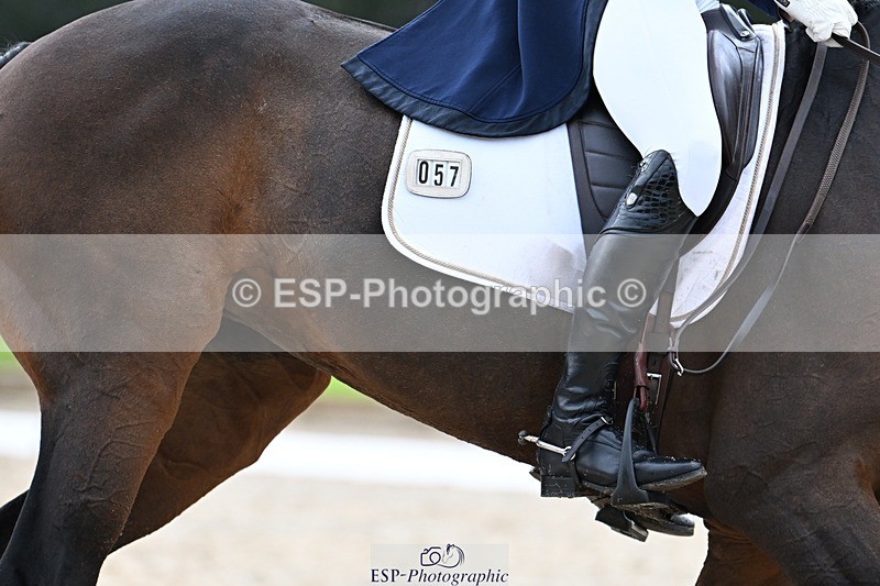 231019-145258-04300 - 057-OVERTON.TILANA'S.GOLD-Claire.Deuten-DR