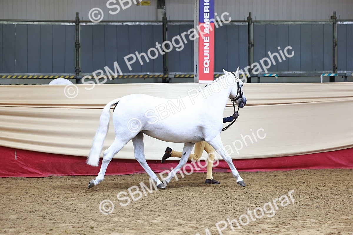 SBM_22265 - Class 902 - Supreme Final - IH Diamond