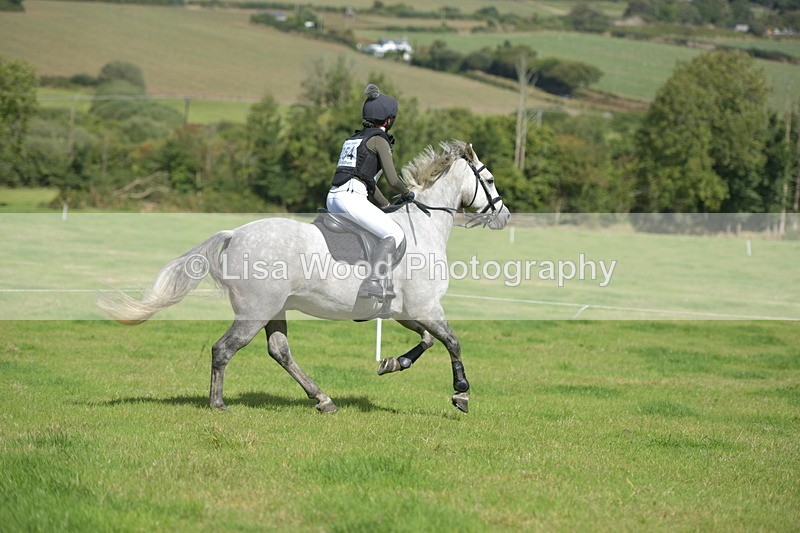 RAY_8682 - Class 2: Trekenning Open: Wall