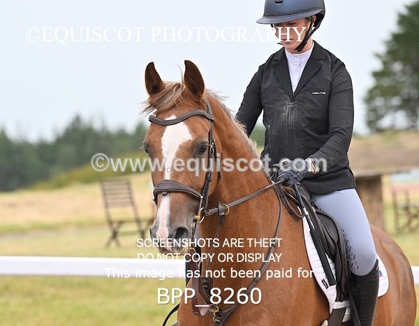 BPP_8260 - CLASS 18 SAT Nupafeeds Senior Discovery/1m open