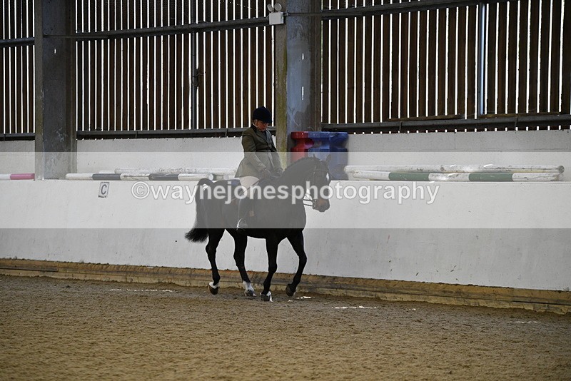 WJ5_5996 - Class 9 Ridden Veteran