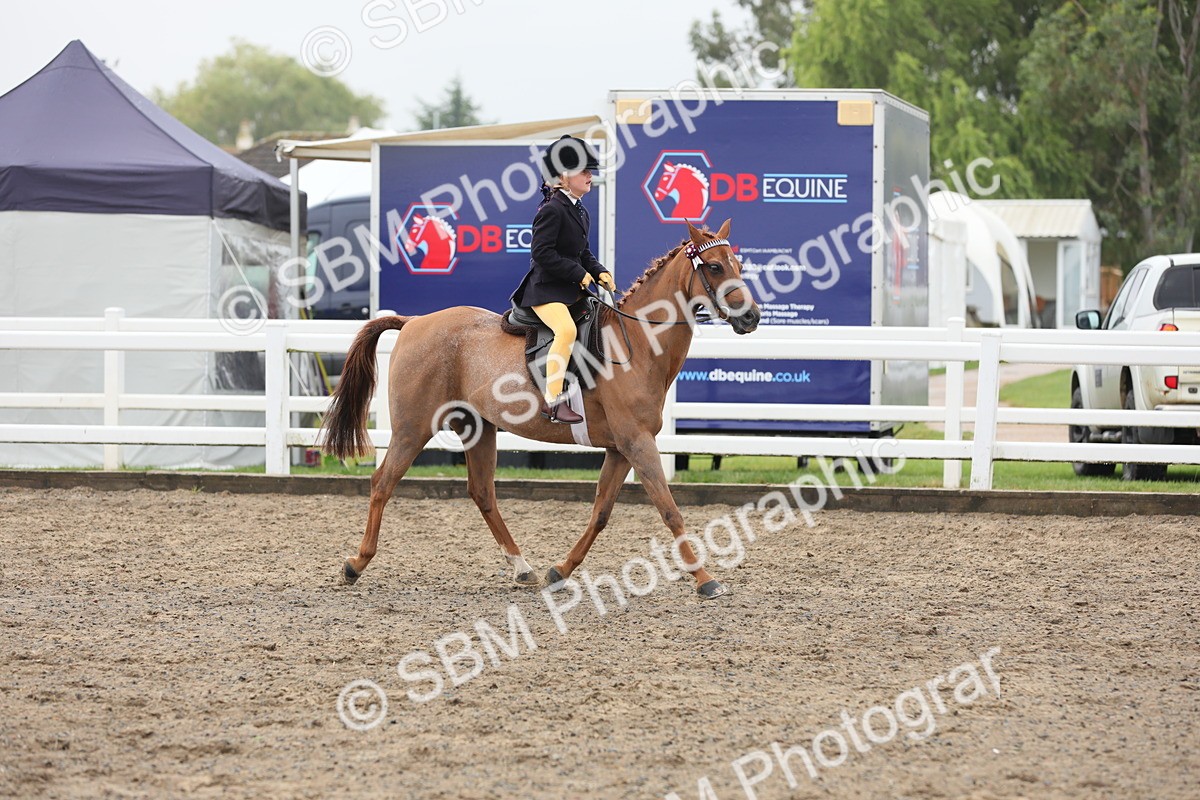 SBM_21791 - Class 806 - Young ridder 10 Yr & Under