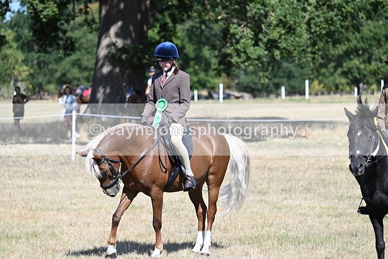 WJ7_4174 - Class 9 Mountain & Moorland Ridden