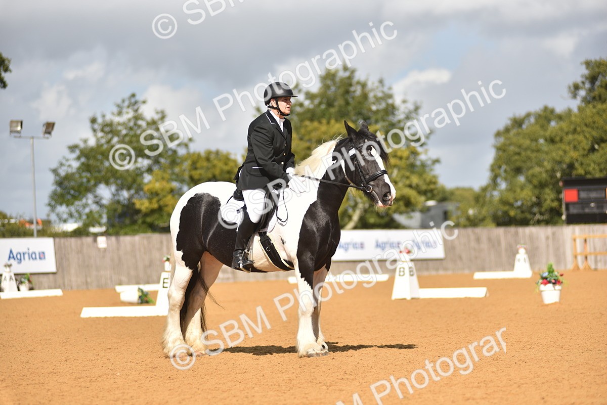 SBM_03158 - D4 - Small Tour Championship Intro 4