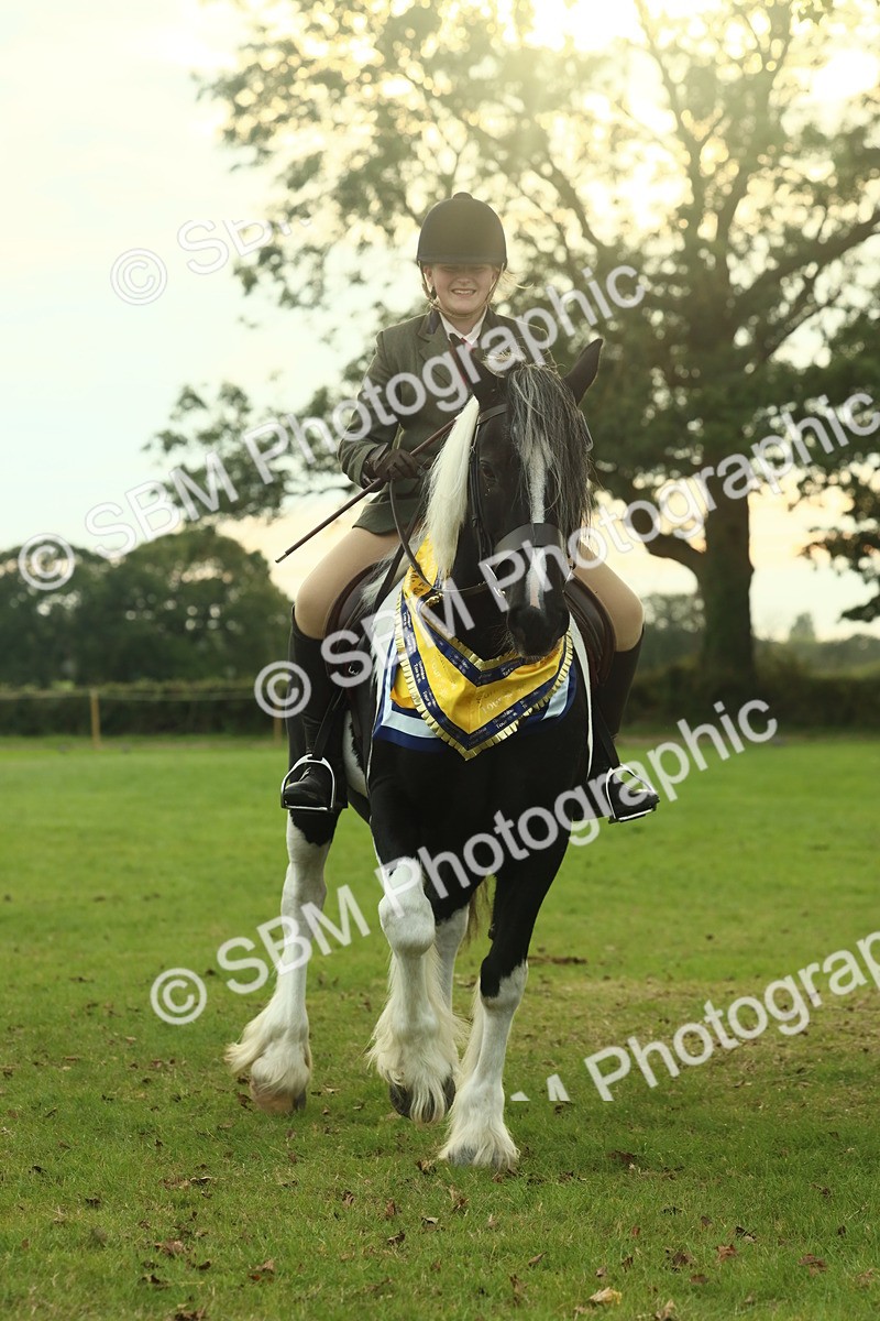 SBM_75323 - Super Supreme Championship