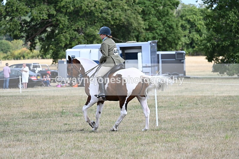 WJ7_7248 - Class 14 Ridden Coloured