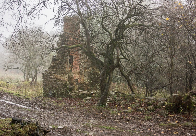 Ruined cottage, The Hollies - Stiperstones