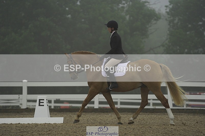 230708A-150110-03964 - Prelim 18