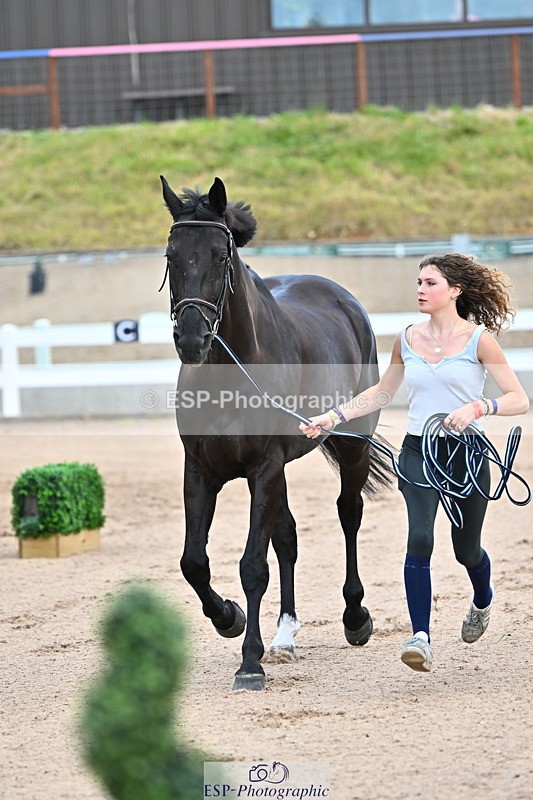 240718A-105325-01971 - Trot Up 2pm to 3pm - This folder is not in time order