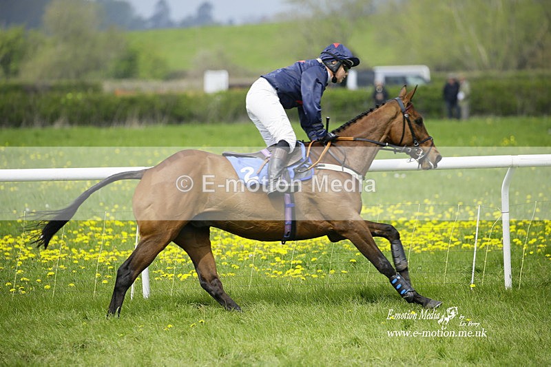 PtP 230422 69 - Berkeley Races - Woodford Glos 23/04/22