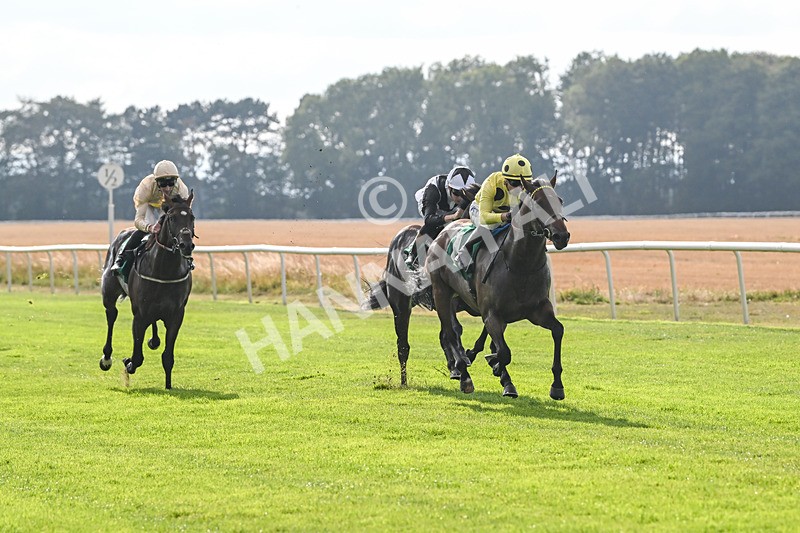 150825-Race 1-Alaminos-2360 - Race 1