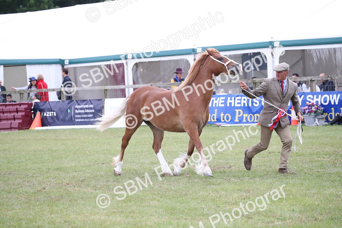 SBM_09817 - Ch 50 - Price Family Supreme In Hand