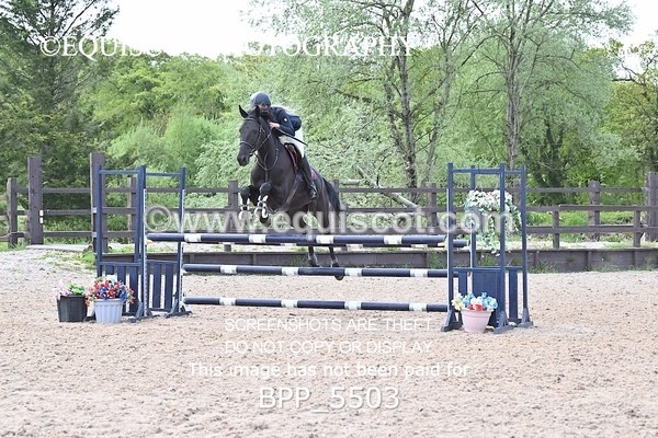 BPP_5503 - CLASS 4  BritishNovice/ 90cm Open