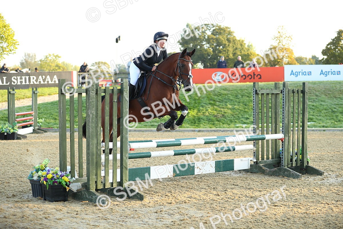 SBM_57603 - J64 - Clear Round 90cm