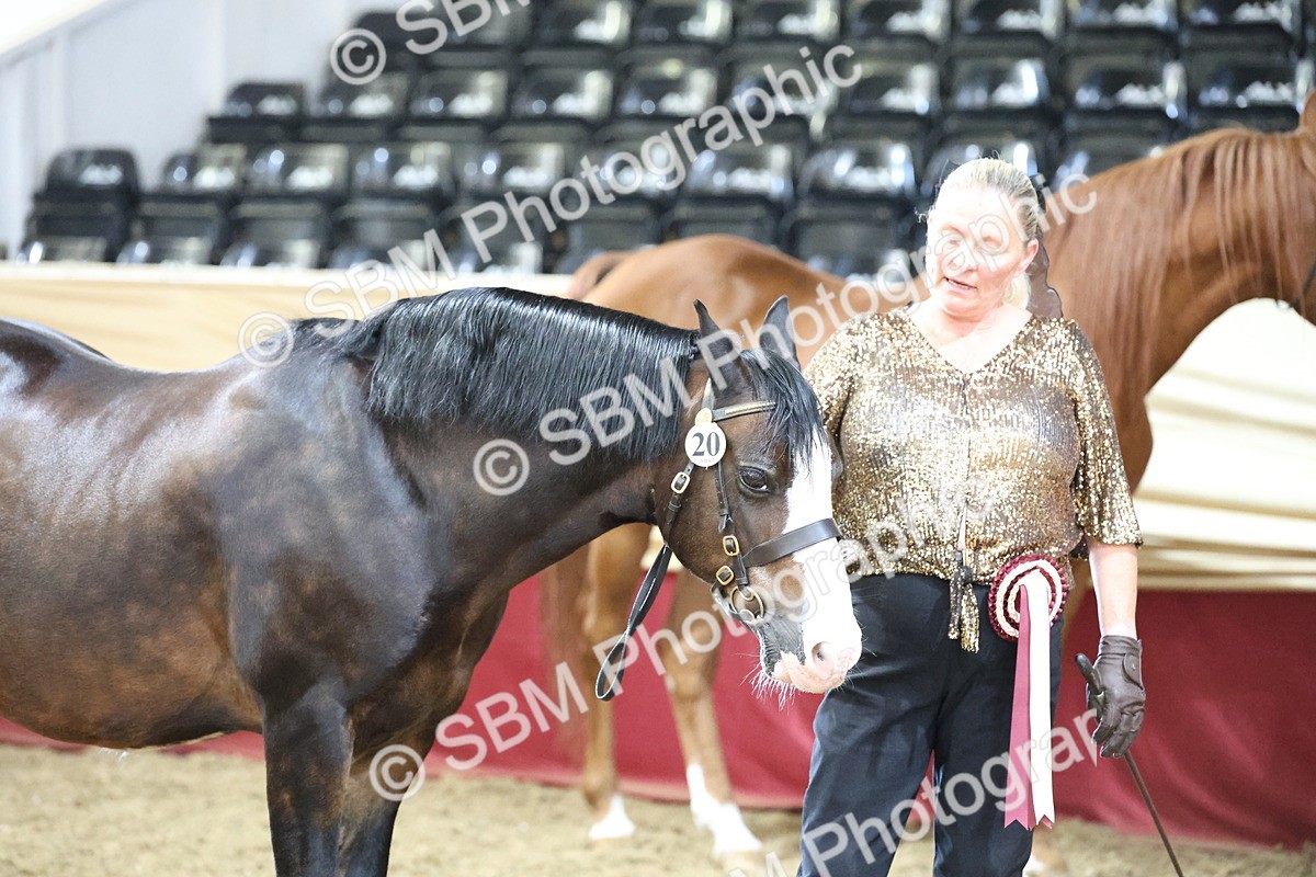 SBM_22585 - Class 902 - Supreme Final - IH Diamond