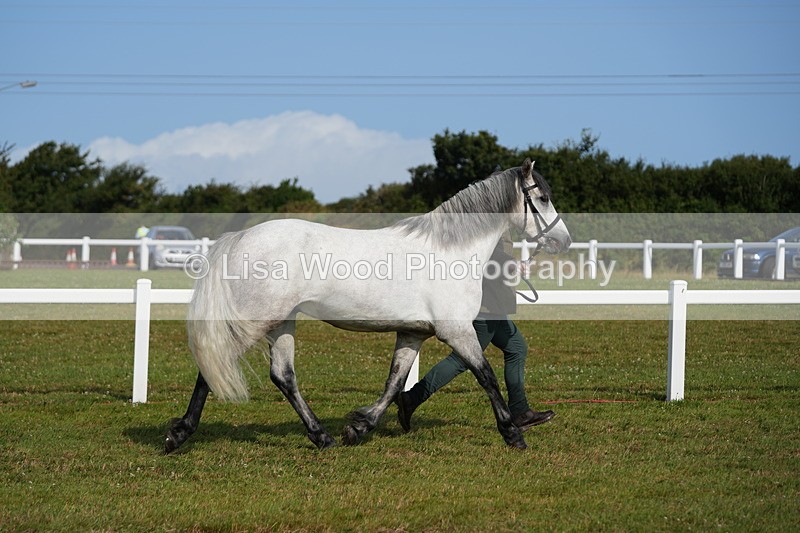 DSC04994 - Class 48: NPS M&M 2/3 year olds