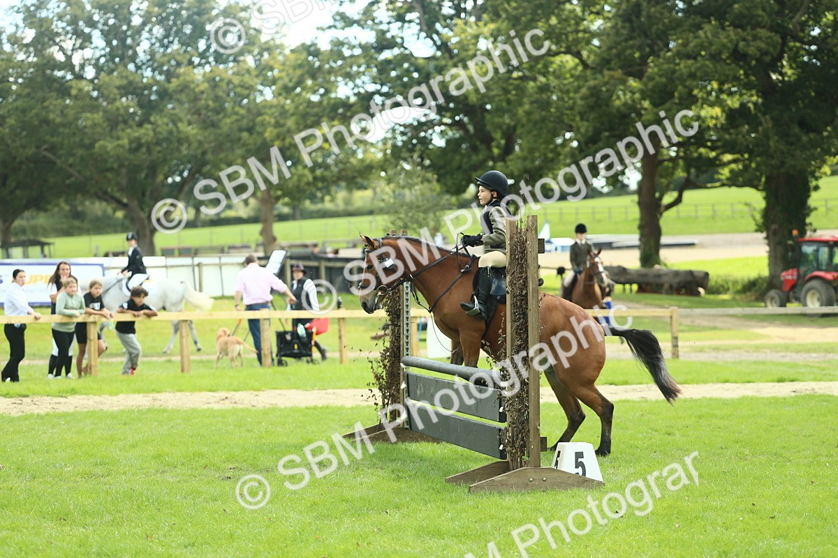 SBM_44612 - S31 - Working Hunter Pony