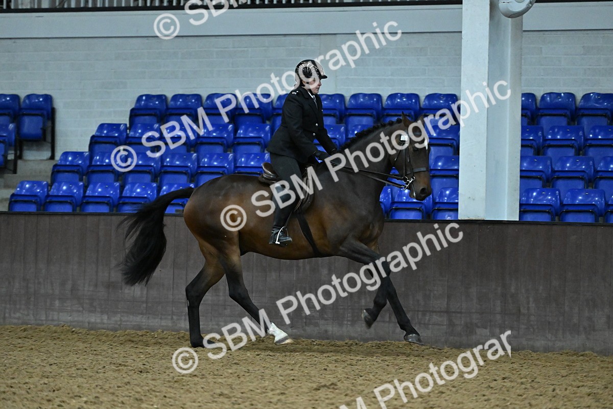 SBM_002084 - Class 23 - BSHA Ridden Show Hunter