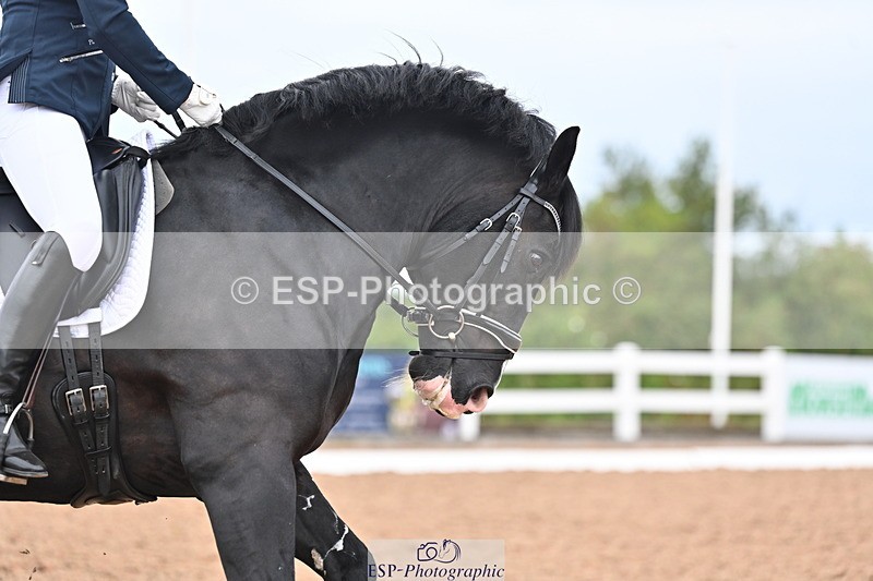 240817A-144412-09656 - 195-Jennie.Medlock-Bric.a.Brac