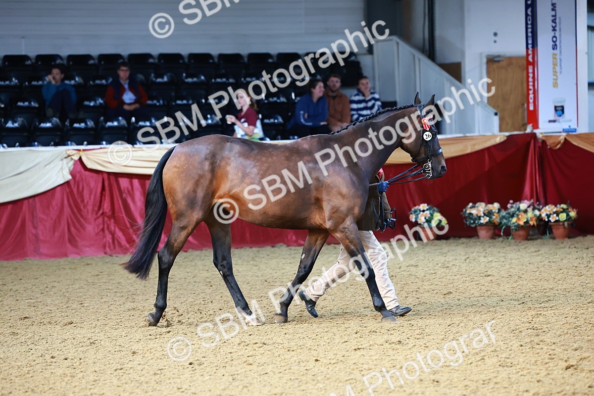 SBM_21745 - Class 901 - Supreme Final - IH  Diamond