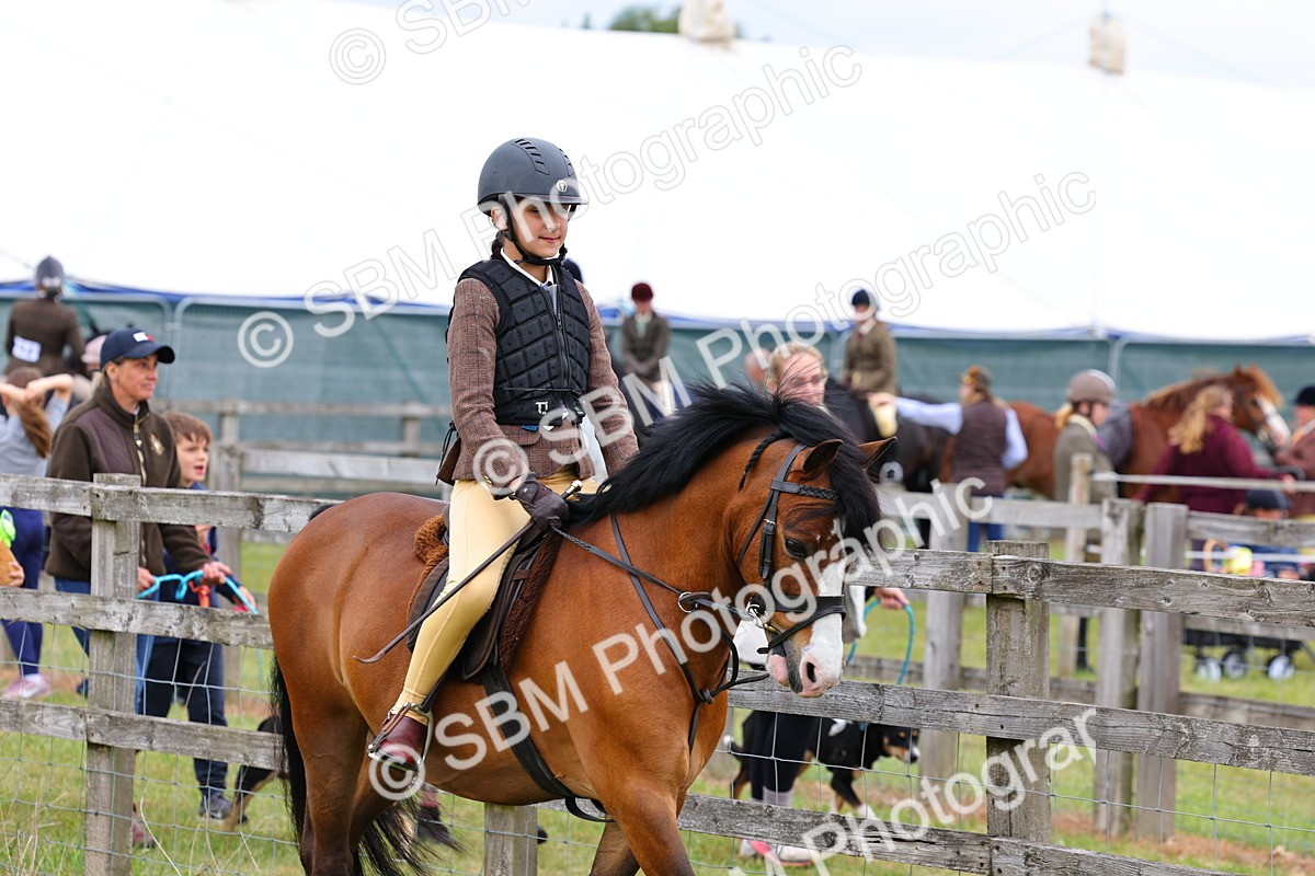 SBM_08431 - Class 42-43 - LIHS BSPS Heritage Working Sports Pony
