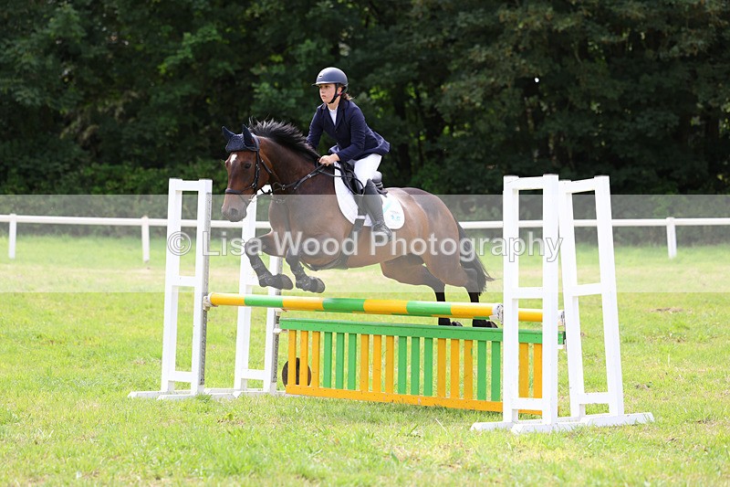3E7A6961 - Class 5: Senior British Novice/90cm open