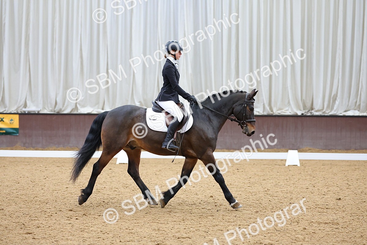 SBM_002716 - Novice