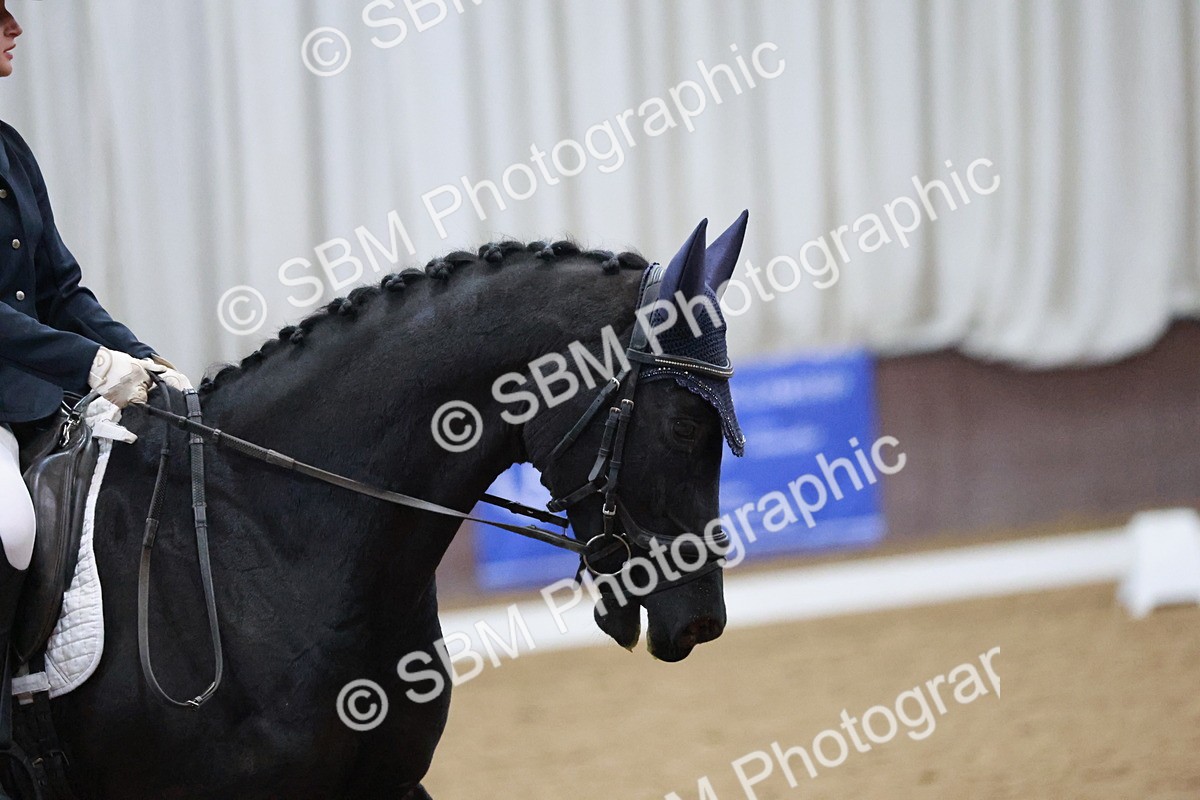 SBM_004720 - Ring 3 - International -  Working Hunter Classes 23-2-25